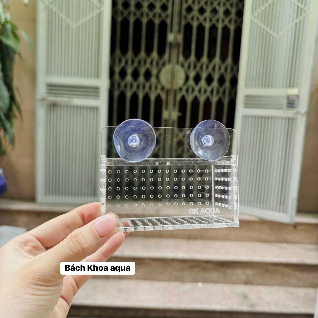 Box lưới - Mica đựng trùn chỉ trùng huyết cho cá cảnh